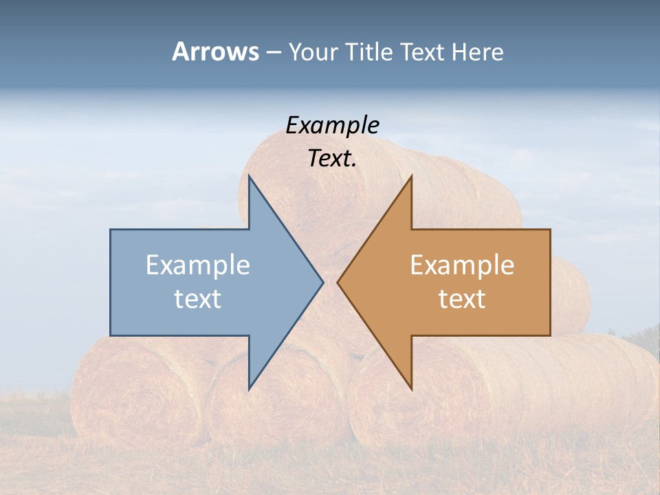 Dry Boundless Bright PowerPoint Template