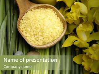 Palm Blossom Set PowerPoint Template