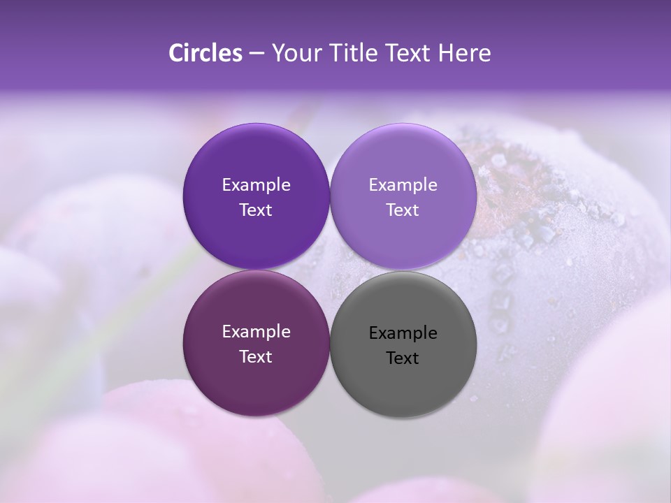 Nobody Red Snow PowerPoint Template