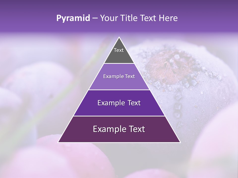 Nobody Red Snow PowerPoint Template