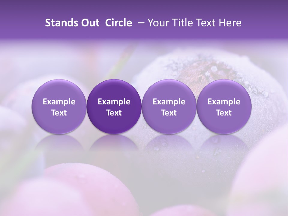 Nobody Red Snow PowerPoint Template