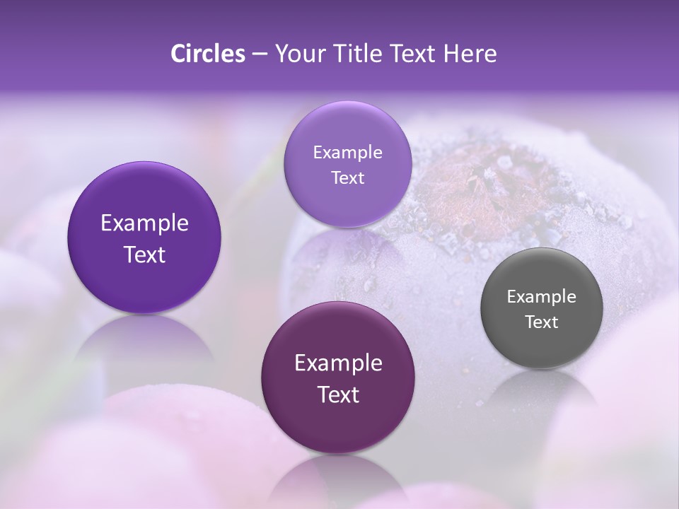 Nobody Red Snow PowerPoint Template