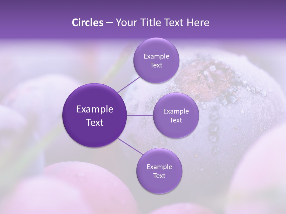 Nobody Red Snow PowerPoint Template