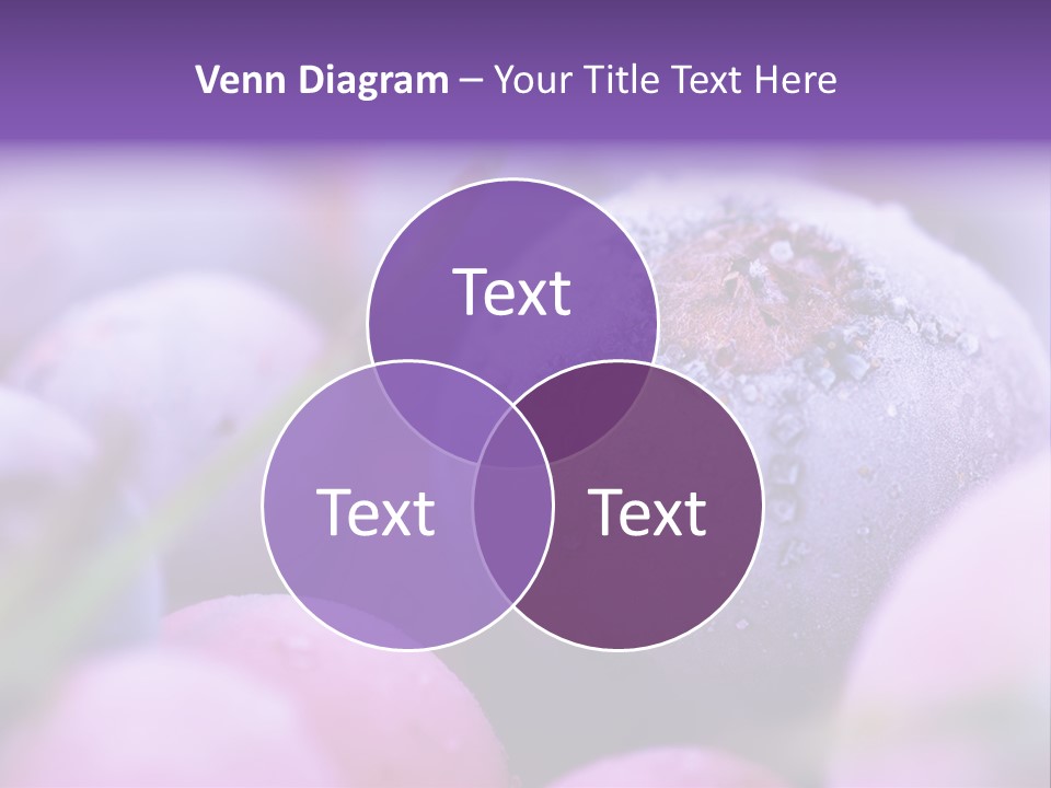 Nobody Red Snow PowerPoint Template