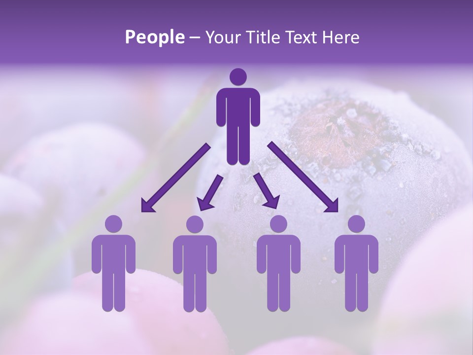 Nobody Red Snow PowerPoint Template