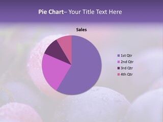 Close Up Closeup Nutrition PowerPoint Template