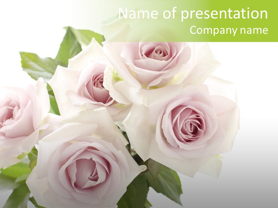 Plant Bloom Space PowerPoint Template