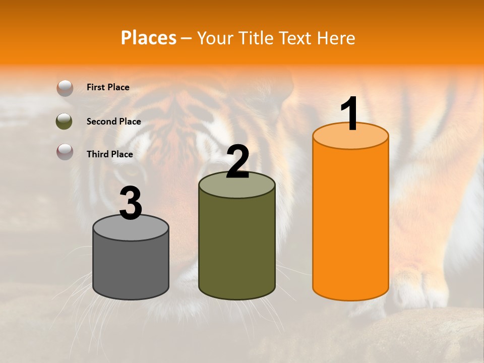 Captivity Asia Fierce PowerPoint Template