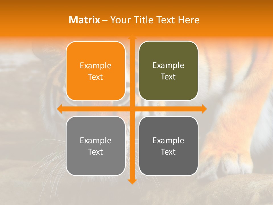 Captivity Asia Fierce PowerPoint Template