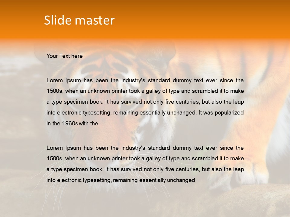 Captivity Asia Fierce PowerPoint Template