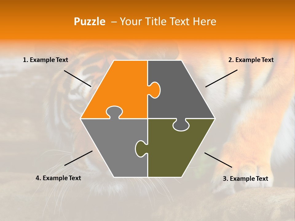 Captivity Asia Fierce PowerPoint Template