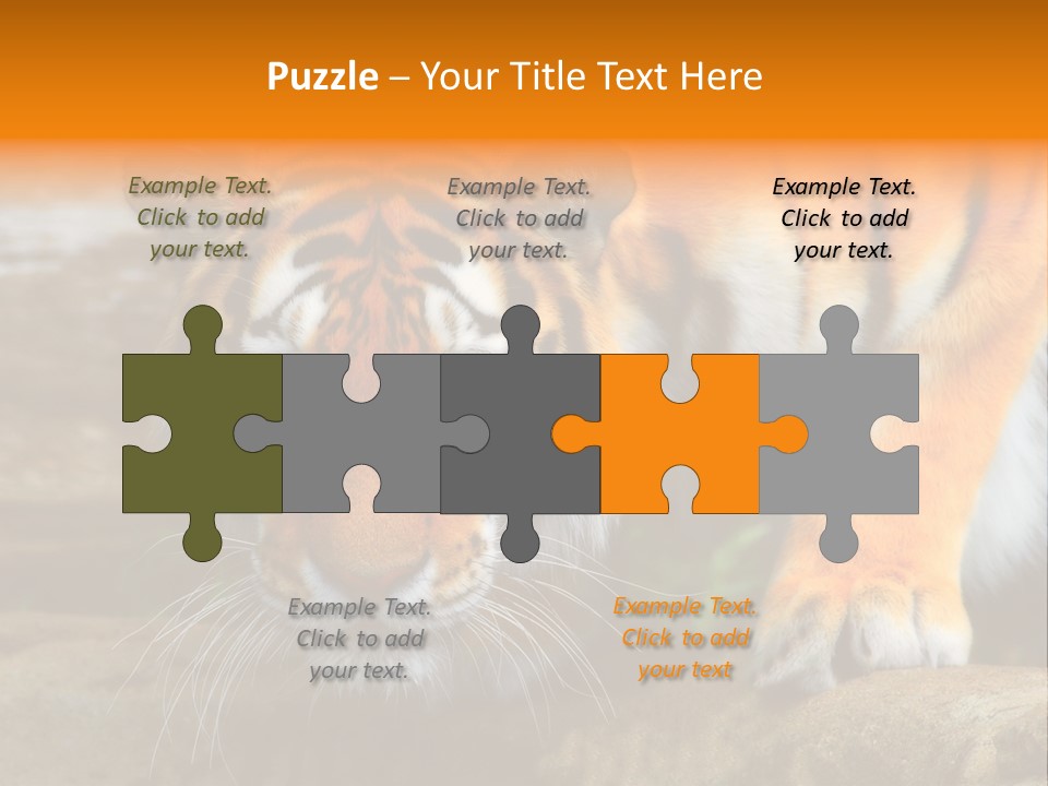 Captivity Asia Fierce PowerPoint Template