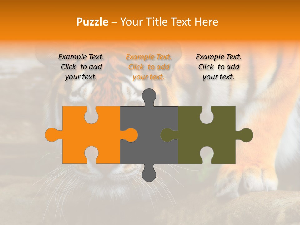 Captivity Asia Fierce PowerPoint Template