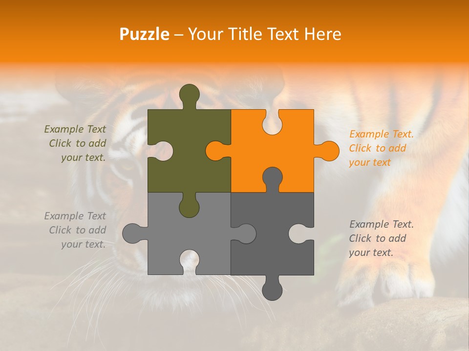 Captivity Asia Fierce PowerPoint Template