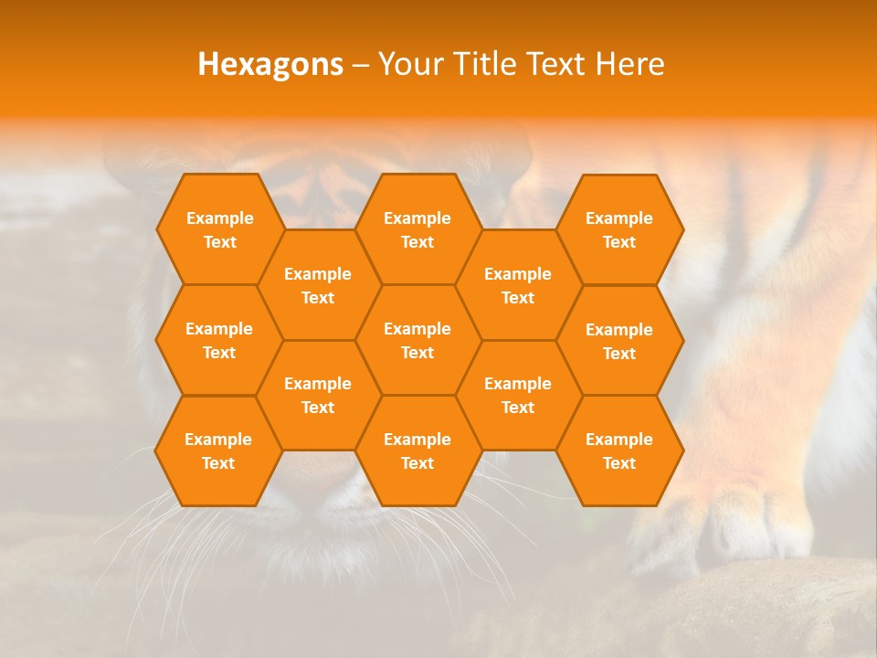 Captivity Asia Fierce PowerPoint Template