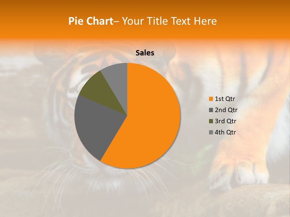 Captivity Asia Fierce PowerPoint Template