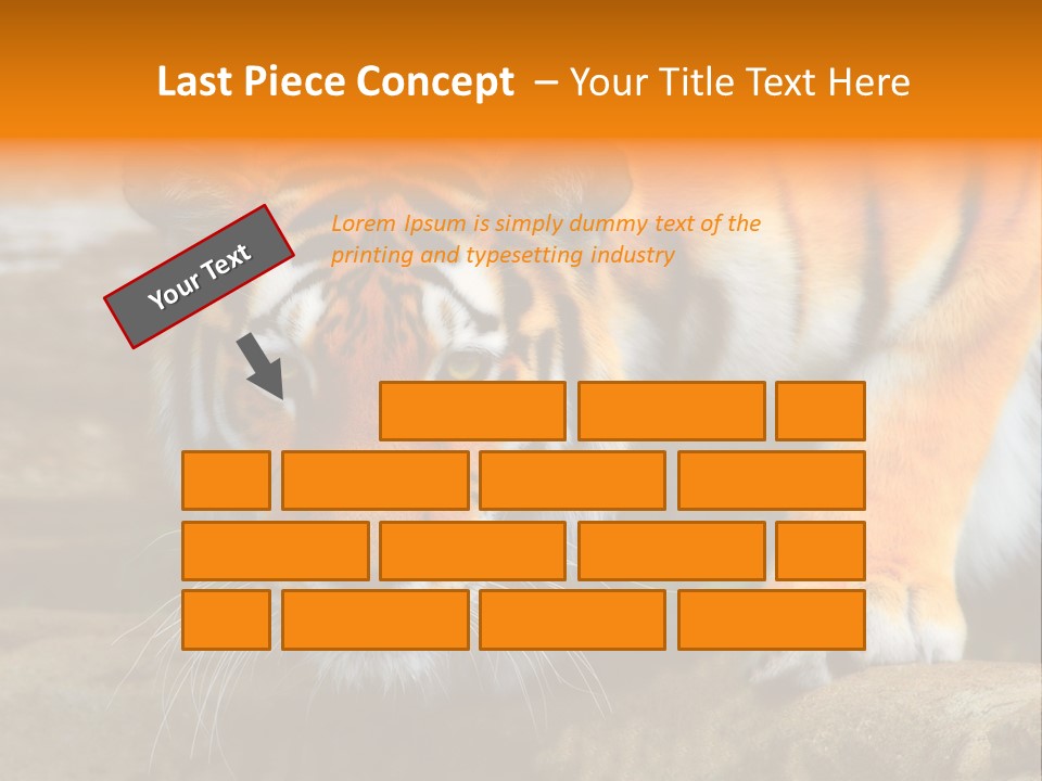 Captivity Asia Fierce PowerPoint Template