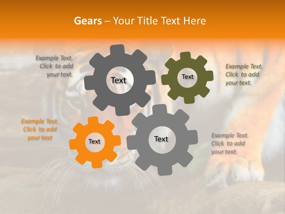 Captivity Asia Fierce PowerPoint Template