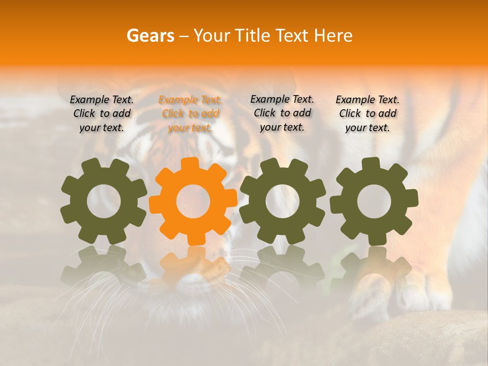 Captivity Asia Fierce PowerPoint Template