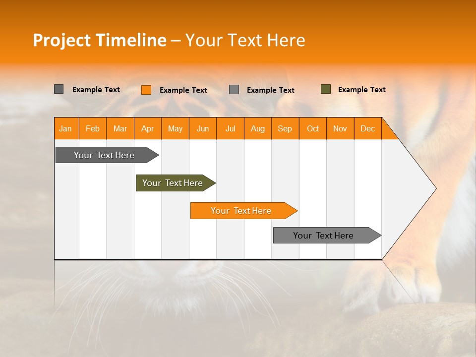 Captivity Asia Fierce PowerPoint Template