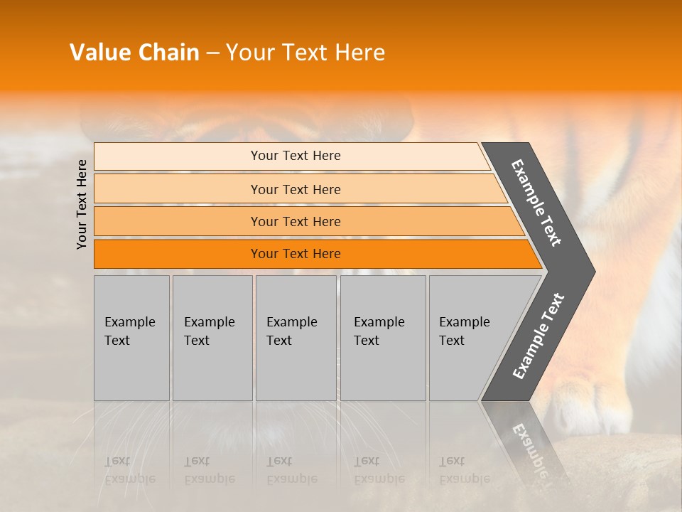 Captivity Asia Fierce PowerPoint Template