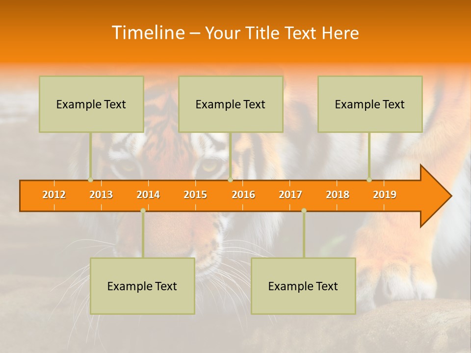 Captivity Asia Fierce PowerPoint Template