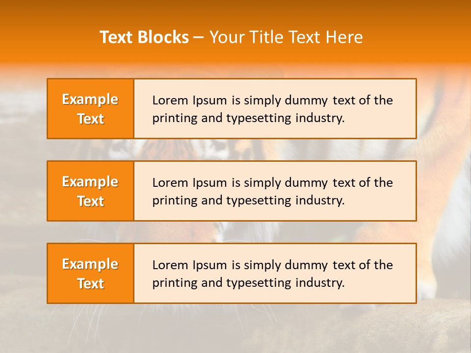 Captivity Asia Fierce PowerPoint Template