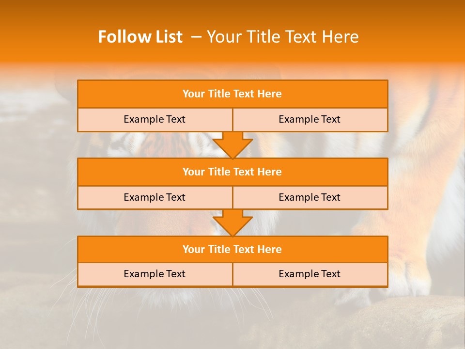 Captivity Asia Fierce PowerPoint Template