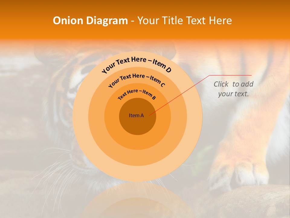 Captivity Asia Fierce PowerPoint Template