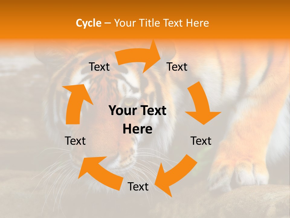 Captivity Asia Fierce PowerPoint Template