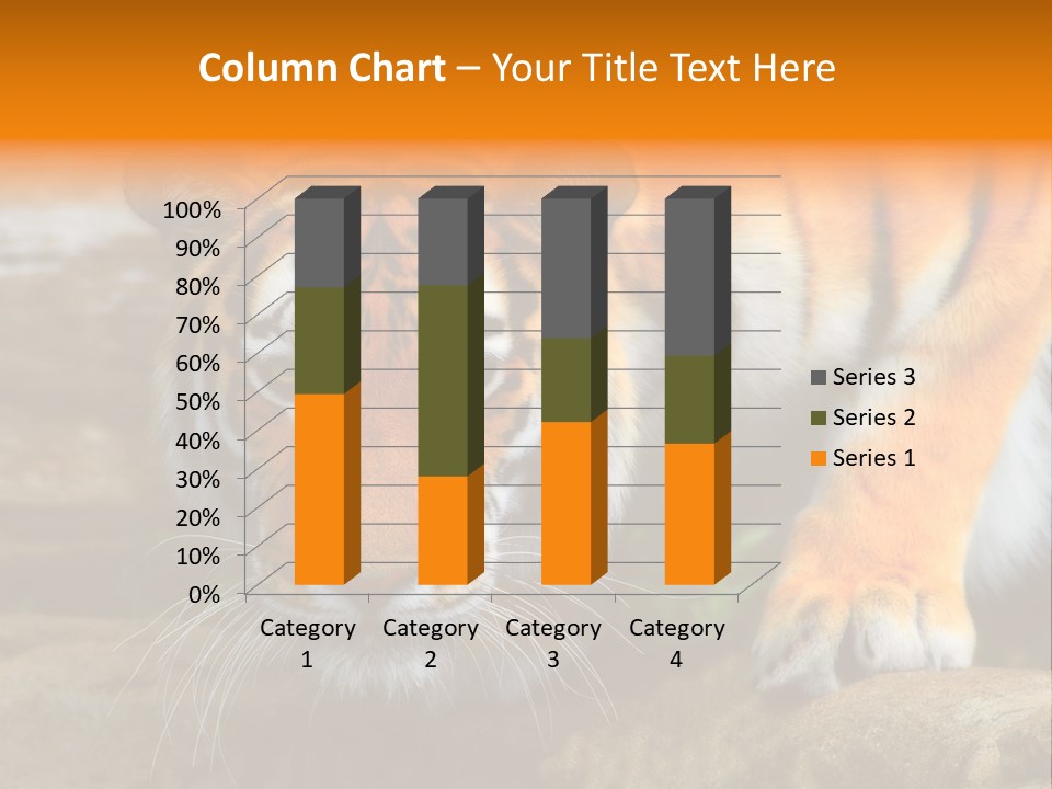 Captivity Asia Fierce PowerPoint Template