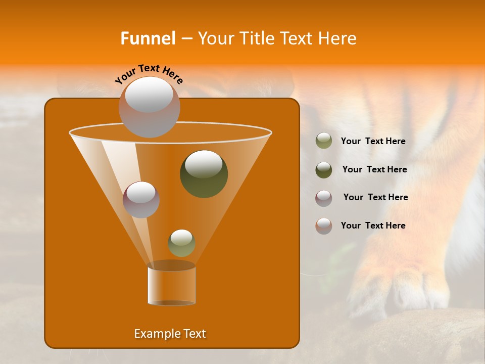 Captivity Asia Fierce PowerPoint Template