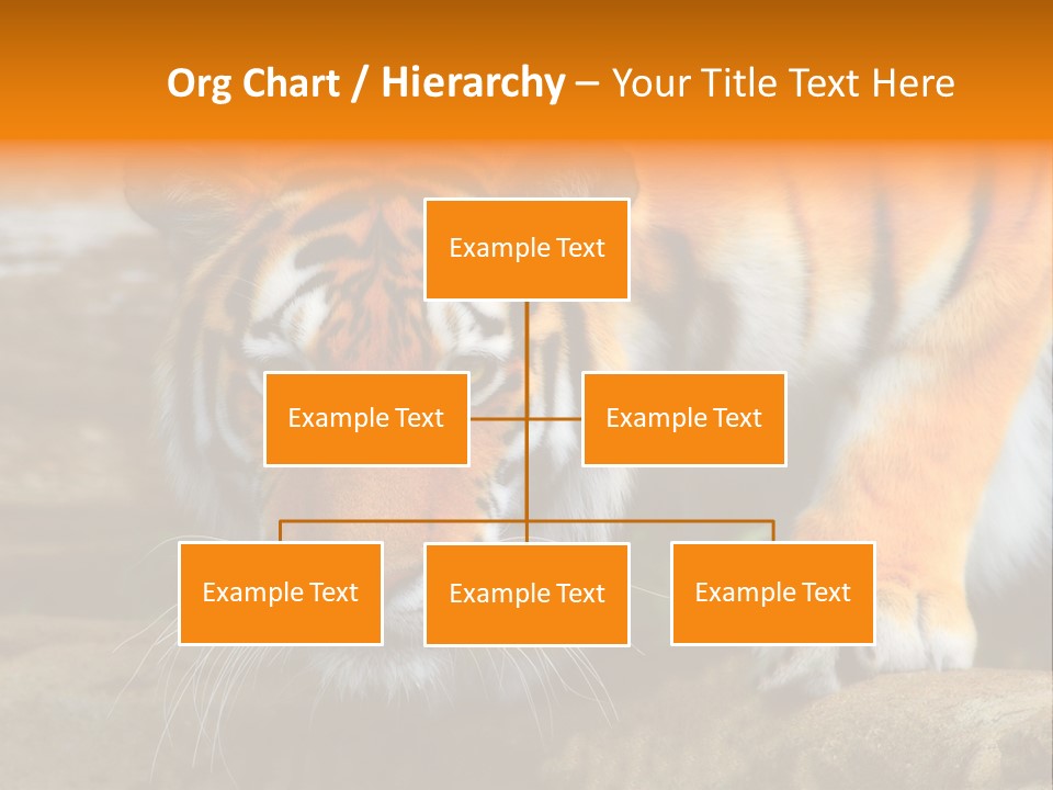 Captivity Asia Fierce PowerPoint Template