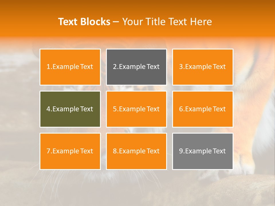 Captivity Asia Fierce PowerPoint Template