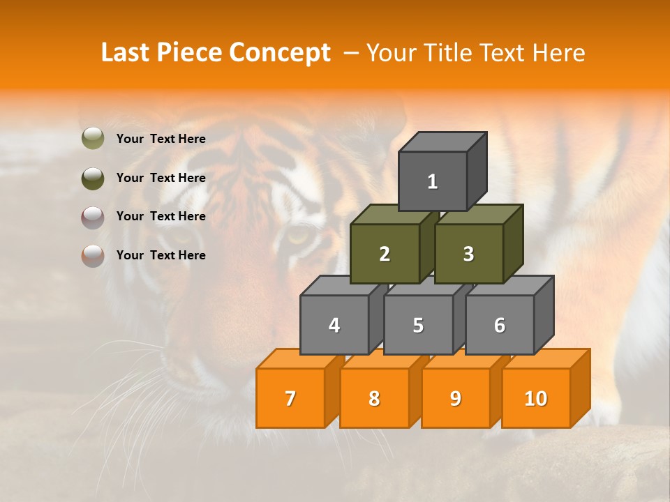 Captivity Asia Fierce PowerPoint Template