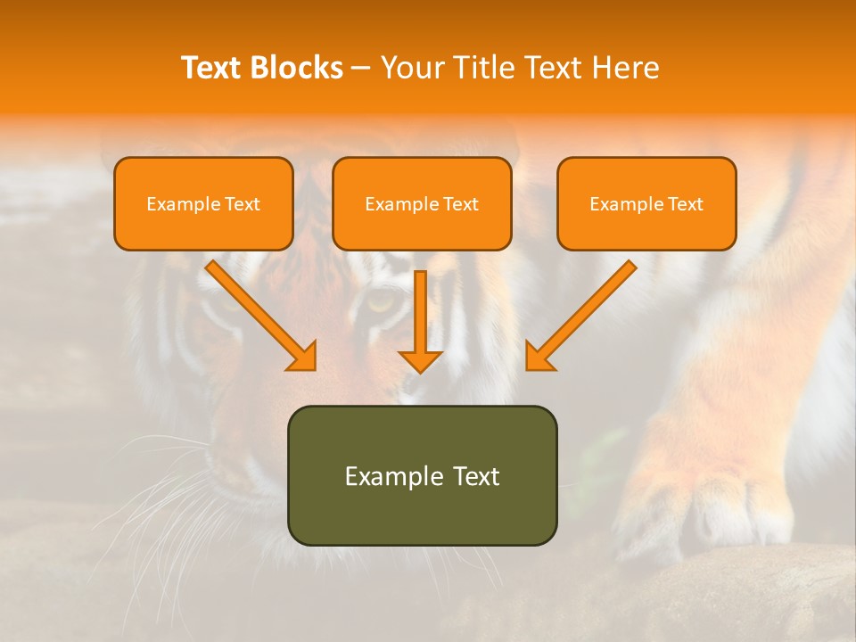 Captivity Asia Fierce PowerPoint Template