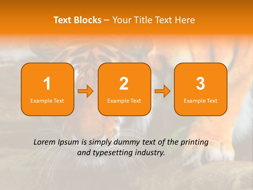 Captivity Asia Fierce PowerPoint Template