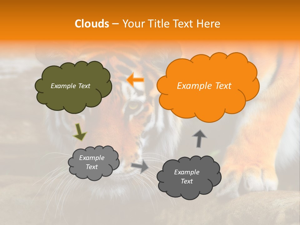 Captivity Asia Fierce PowerPoint Template