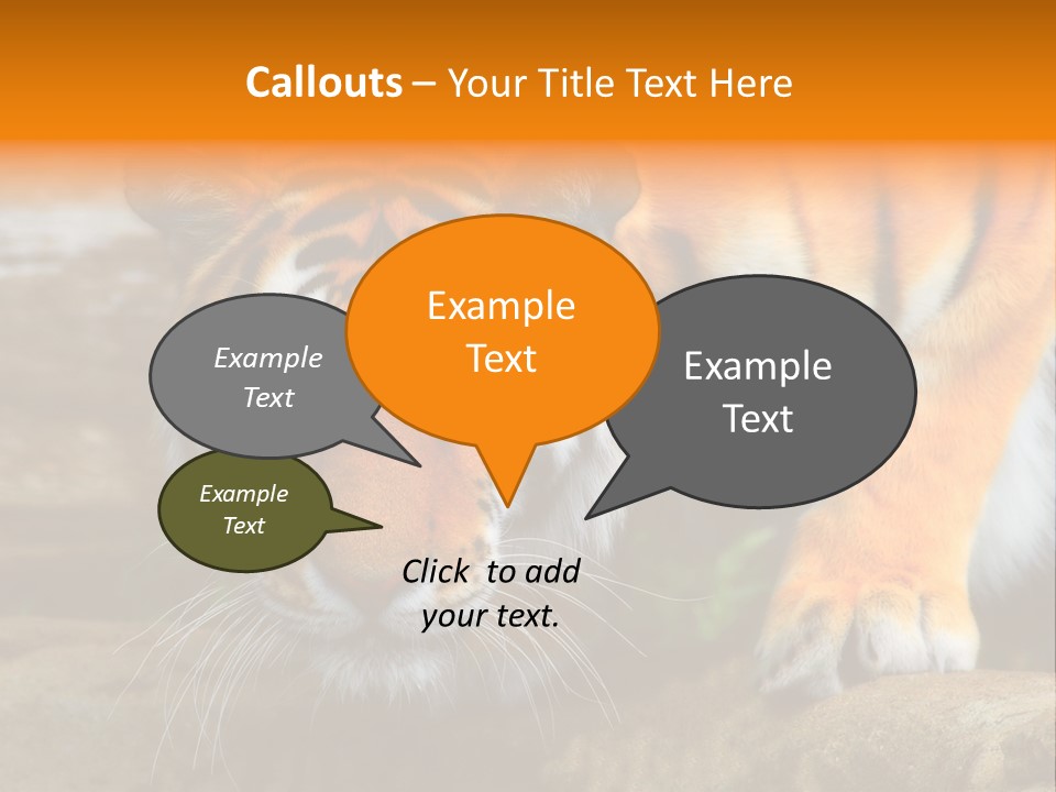 Captivity Asia Fierce PowerPoint Template