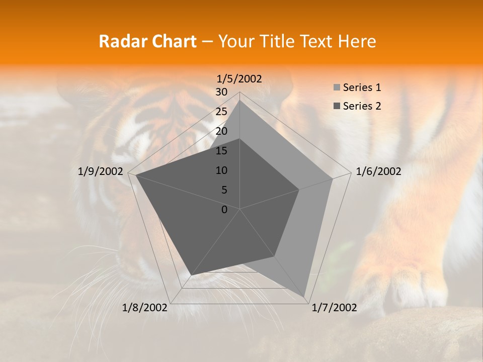 Captivity Asia Fierce PowerPoint Template