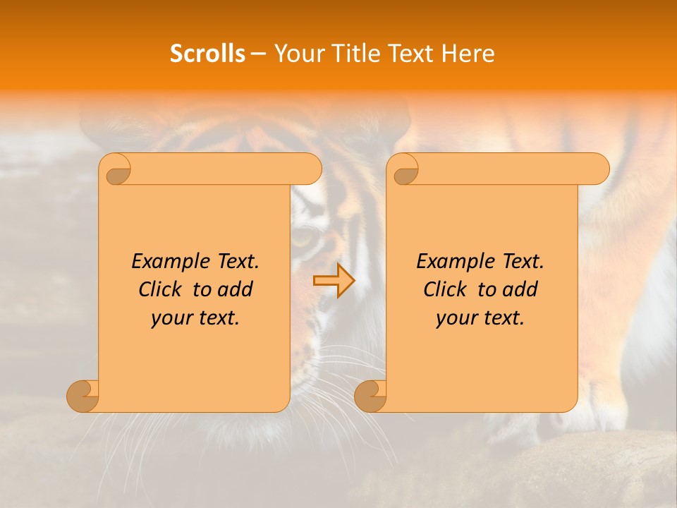 Captivity Asia Fierce PowerPoint Template
