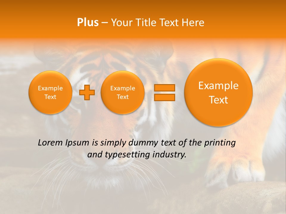 Captivity Asia Fierce PowerPoint Template