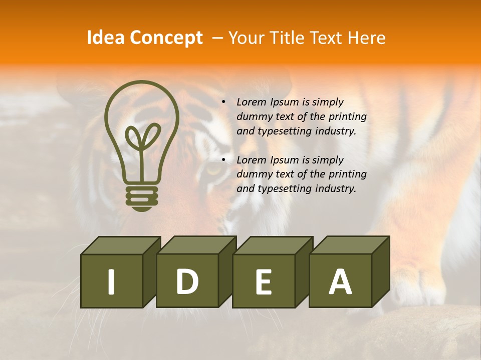 Captivity Asia Fierce PowerPoint Template