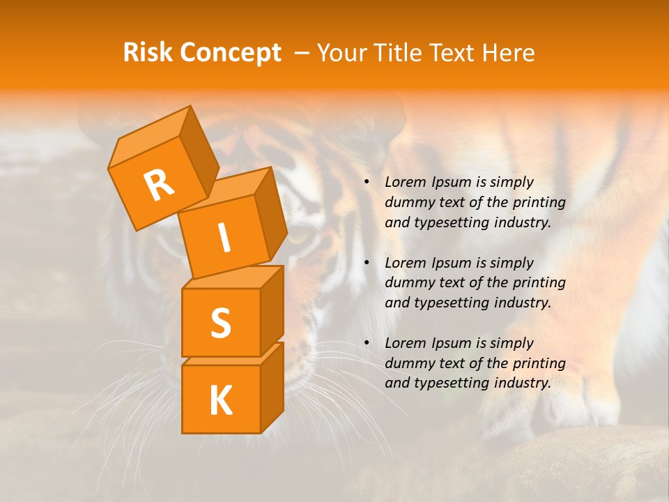Captivity Asia Fierce PowerPoint Template