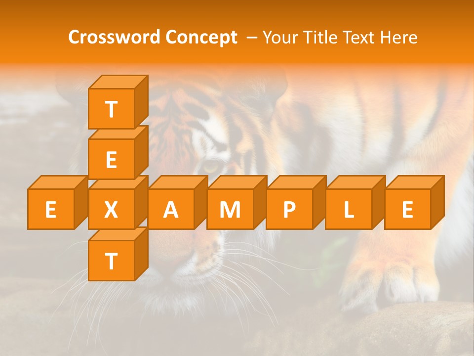 Captivity Asia Fierce PowerPoint Template