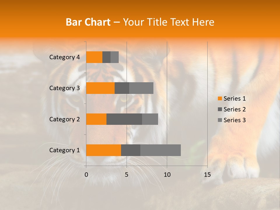 Captivity Asia Fierce PowerPoint Template