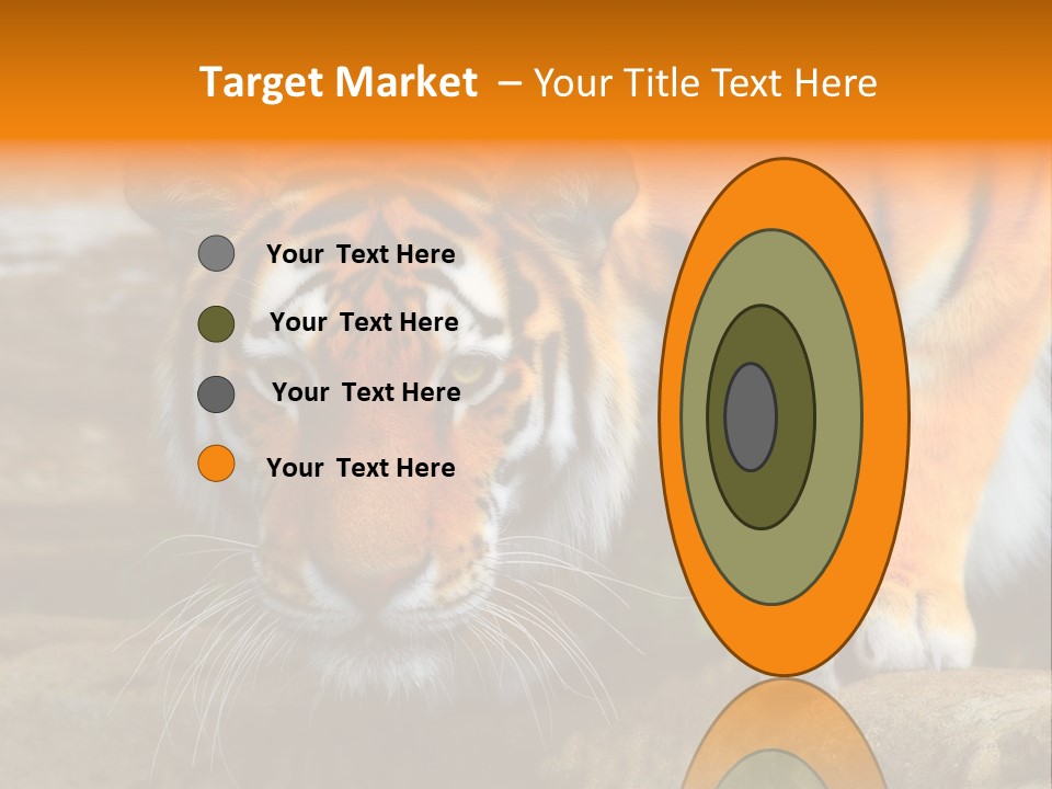 Captivity Asia Fierce PowerPoint Template