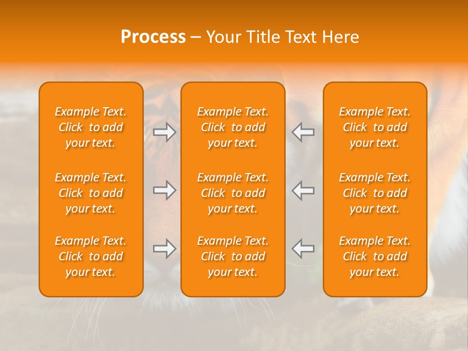 Captivity Asia Fierce PowerPoint Template