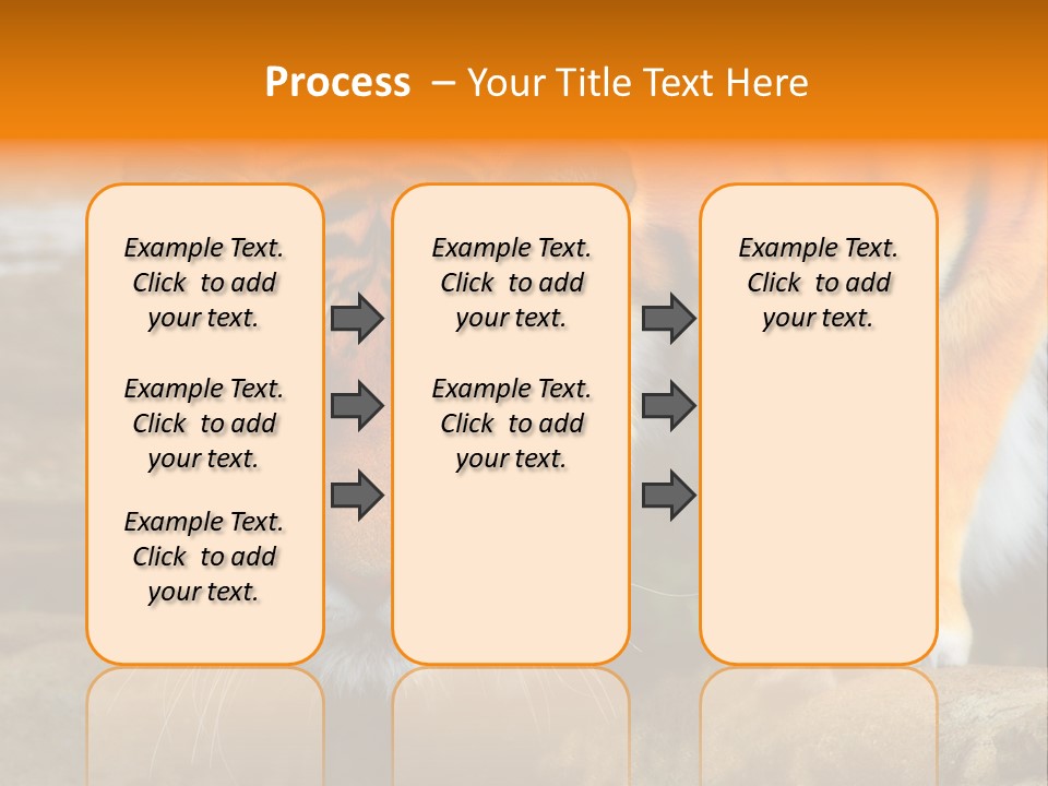 Captivity Asia Fierce PowerPoint Template
