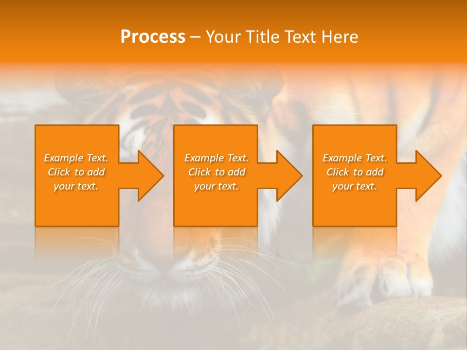 Captivity Asia Fierce PowerPoint Template